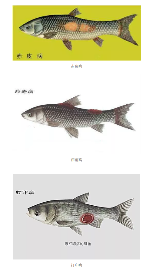 新奥门免费资料大全新牌门