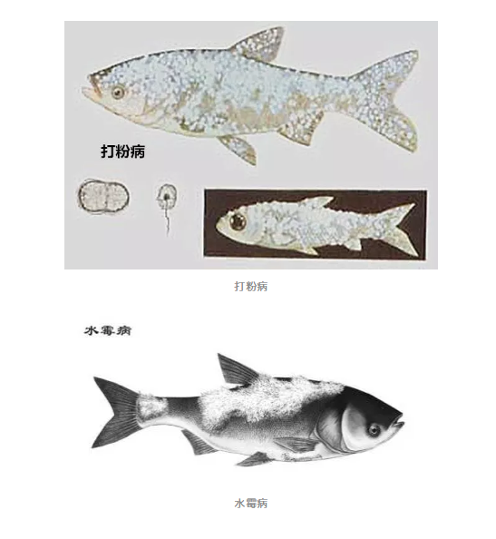 新奥门免费资料大全新牌门