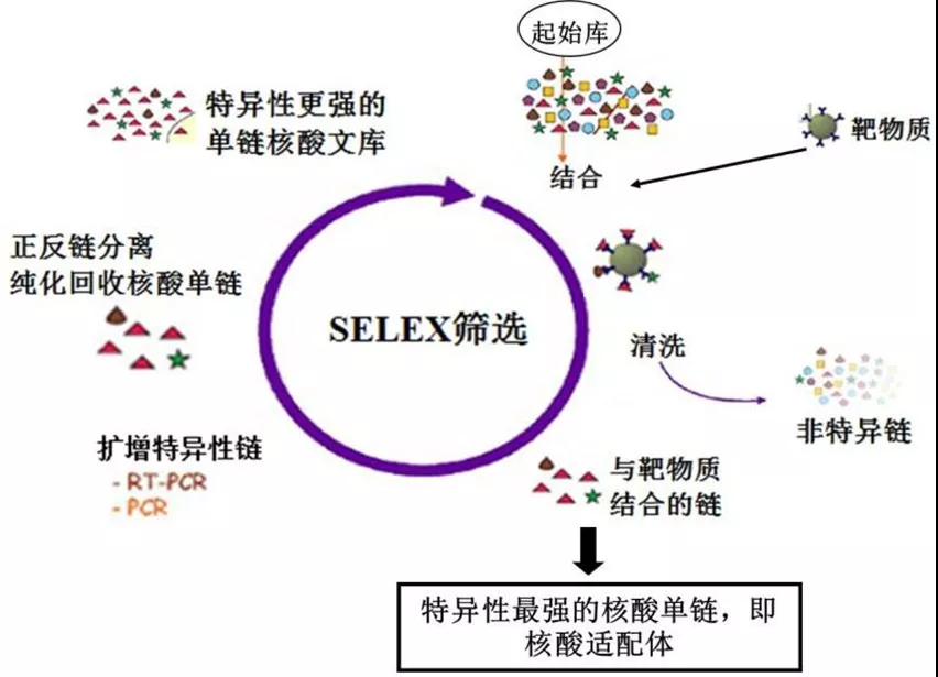 新奥门免费资料大全新牌门