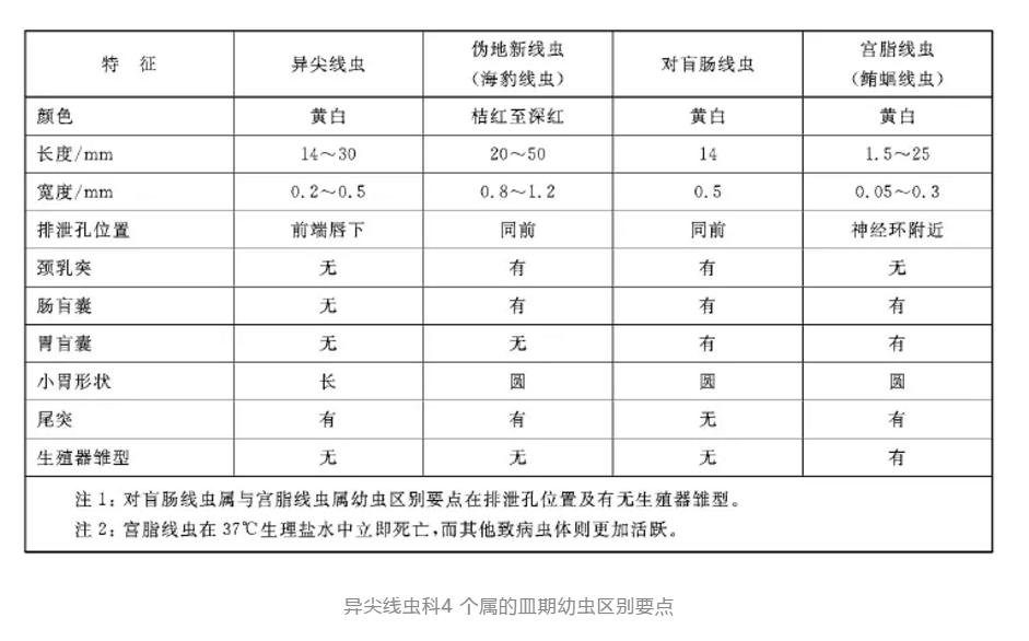 新奥门免费资料大全新牌门