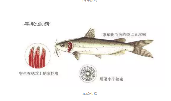 新奥门免费资料大全新牌门