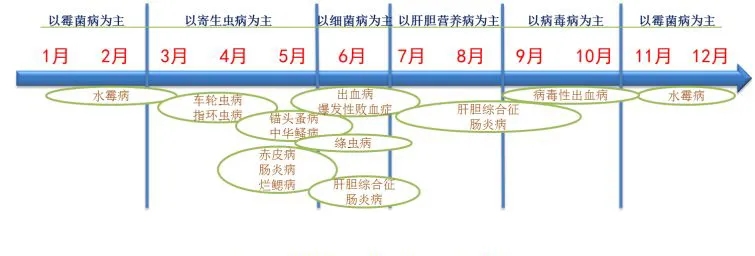 新奥门免费资料大全新牌门