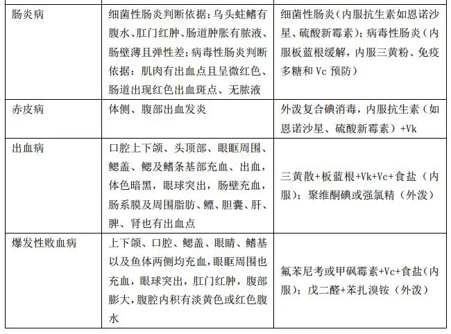 新奥门免费资料大全新牌门