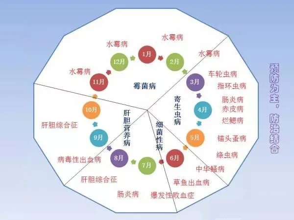 新奥门免费资料大全新牌门